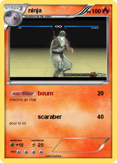 Pokemon ninja
