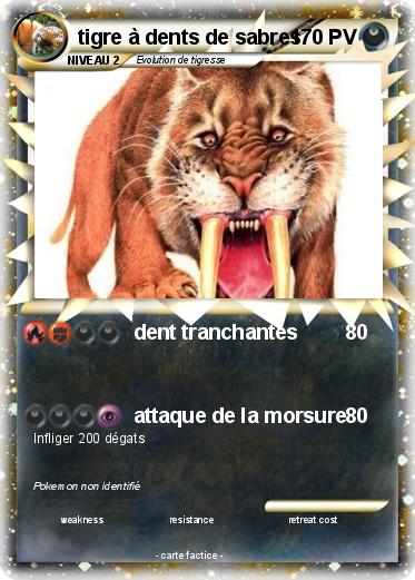 Pokemon tigre à dents de sabres