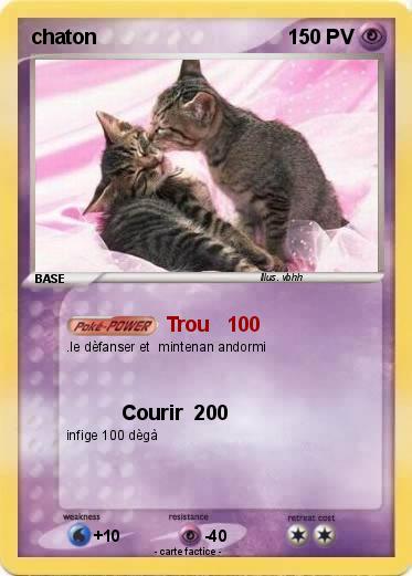 Pokemon chaton