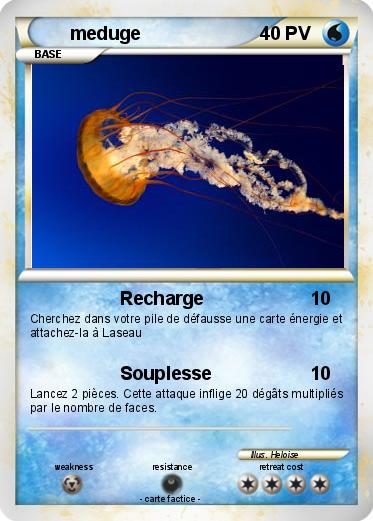 Pokemon meduge