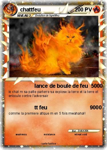 Pokemon chattfeu