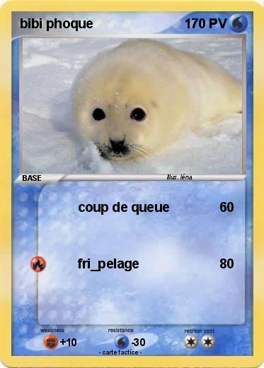 Pokemon bibi phoque