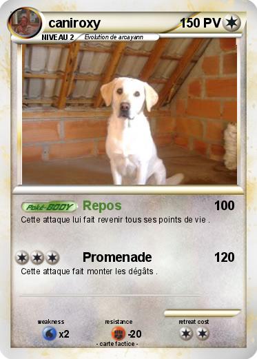 Pokemon caniroxy