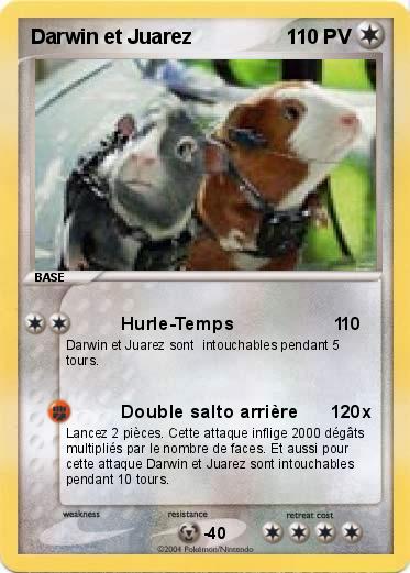 Pokemon Darwin et Juarez   