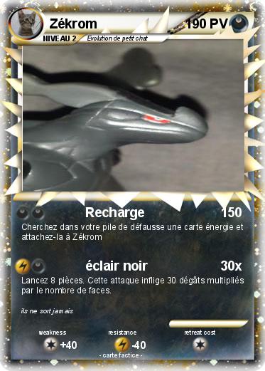 Pokemon Zékrom