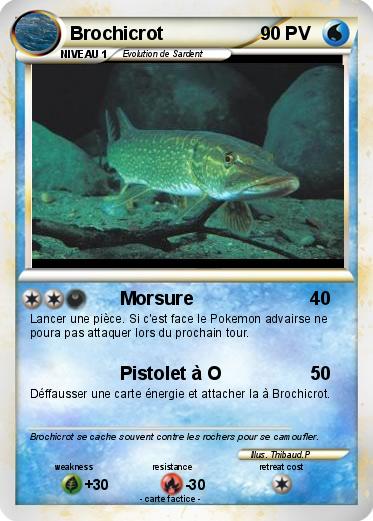 Pokemon Brochicrot