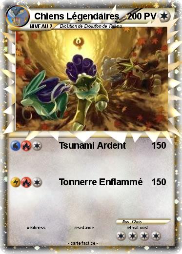 Pokemon Chiens Légendaires