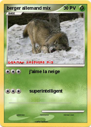 Pokemon berger allemand mix