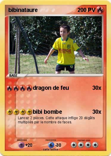 Pokemon bibinataure
