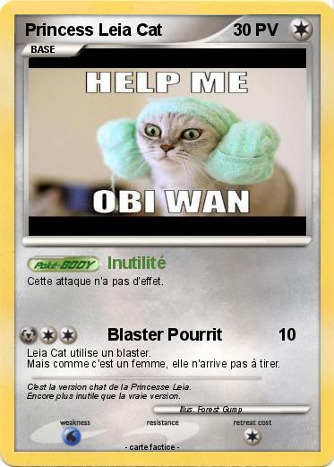 Pokemon Princess Leia Cat