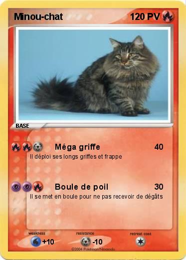 Pokemon Minou-chat