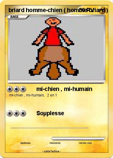 Pokemon briard homme-chien ( homme-briard )