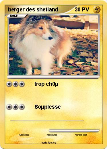 Pokemon berger des shetland