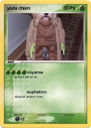 Pokemon yoda chien