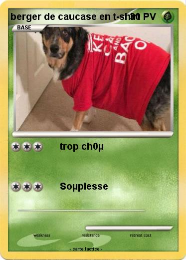 Pokemon berger de caucase en t-shirt