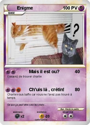 Pokemon Enigme