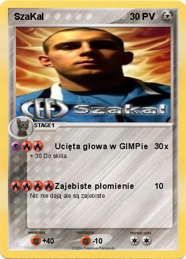 Pokemon SzaKal