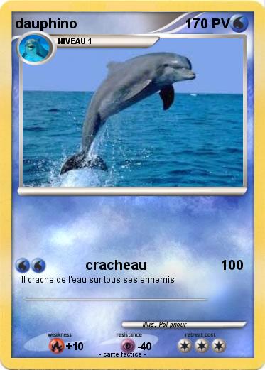 Pokemon dauphino