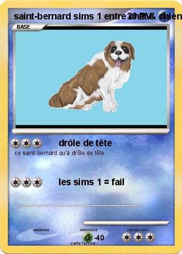 Pokemon saint-bernard sims 1 entre chat & chien