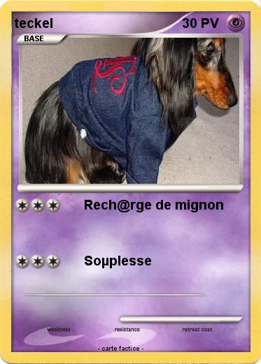 Pokemon teckel