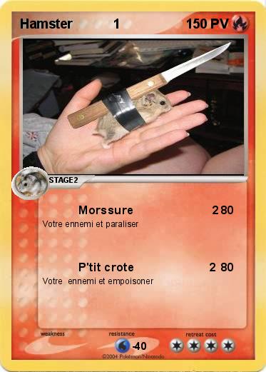 Pokemon Hamster           1                      
