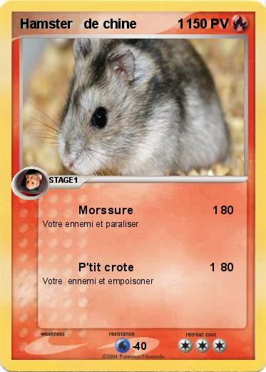 Pokemon Hamster   de chine           1                      