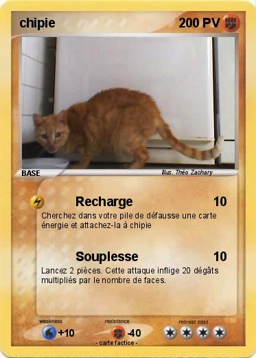 Pokemon chipie