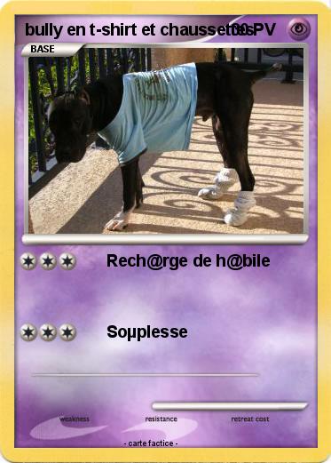 Pokemon bully en t-shirt et chaussettes