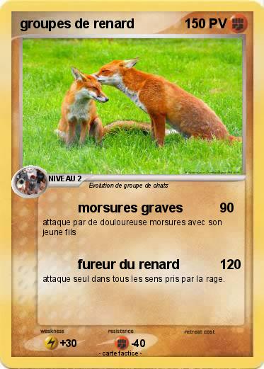 Pokemon groupes de renard