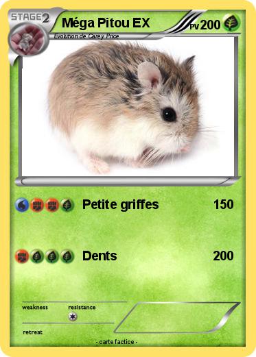 Pokemon Méga Pitou EX