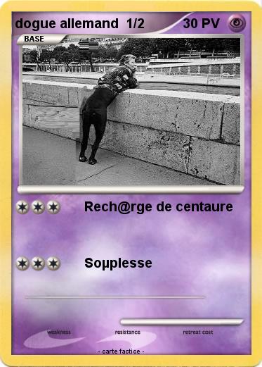 Pokemon dogue allemand  1/2