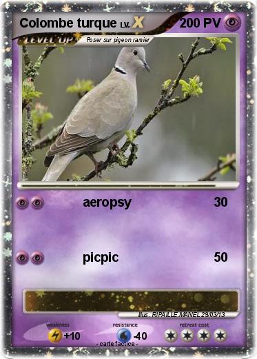 Pokemon Colombe turque