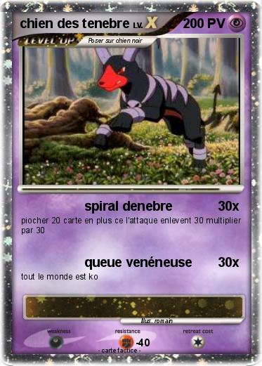 Pokemon chien des tenebre