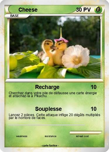 Pokemon Cheese