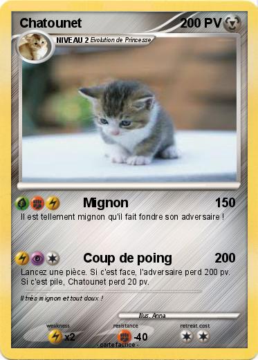 Pokemon Chatounet