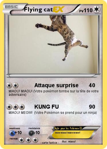 Pokemon Flying cat