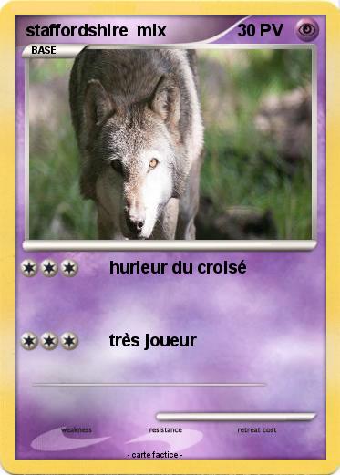 Pokemon staffordshire  mix