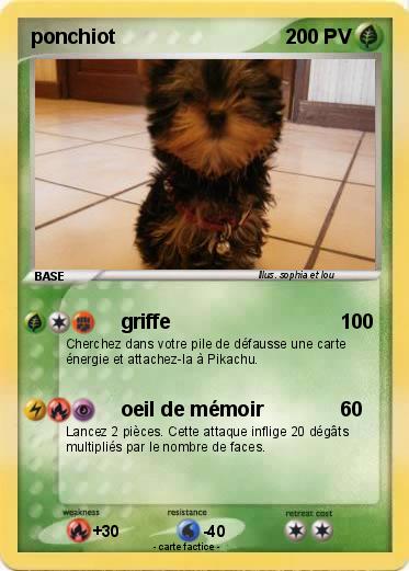Pokemon ponchiot