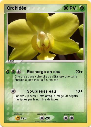 Pokemon Orchidée
