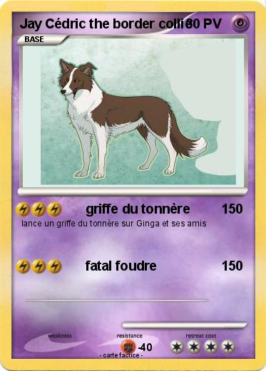 Pokemon Jay Cédric the border collie