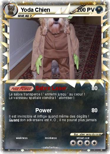 Pokemon Yoda Chien
