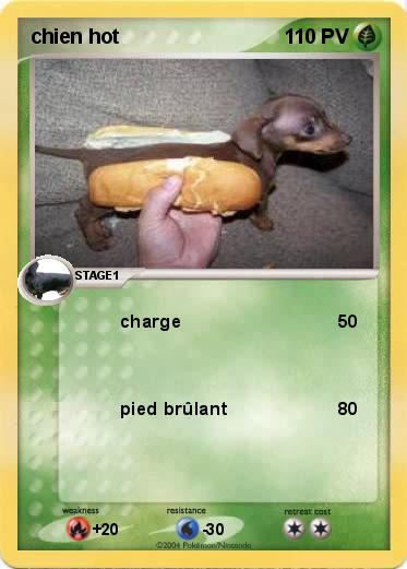Pokemon chien hot