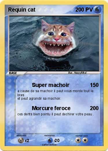 Pokemon Requin cat