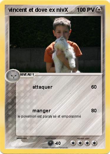 Pokemon vincent et dove ex nivX