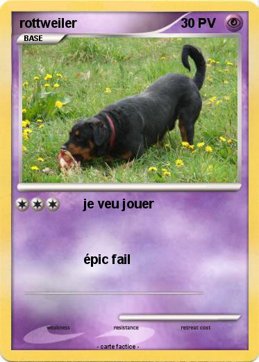 Pokemon rottweiler