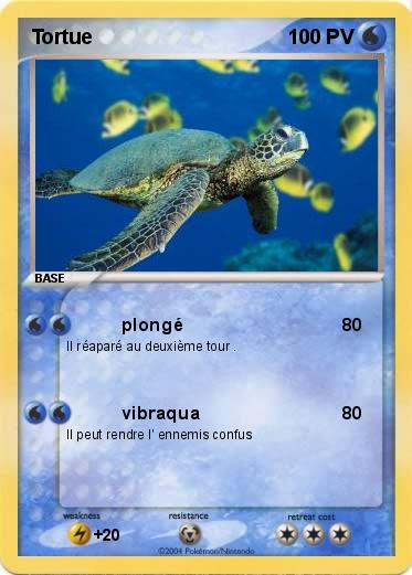 Pokemon Tortue