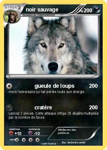 Pokemon noir sauvage