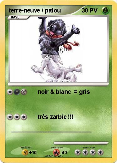 Pokemon terre-neuve / patou