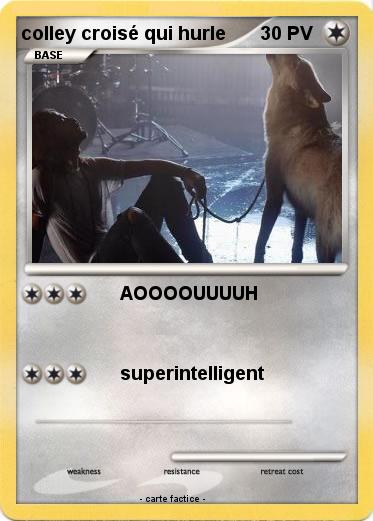 Pokemon colley croisé qui hurle