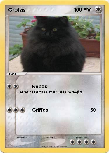 Pokemon Grotas                                1